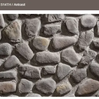 Antrasit natilus kültür taşı sizlerle