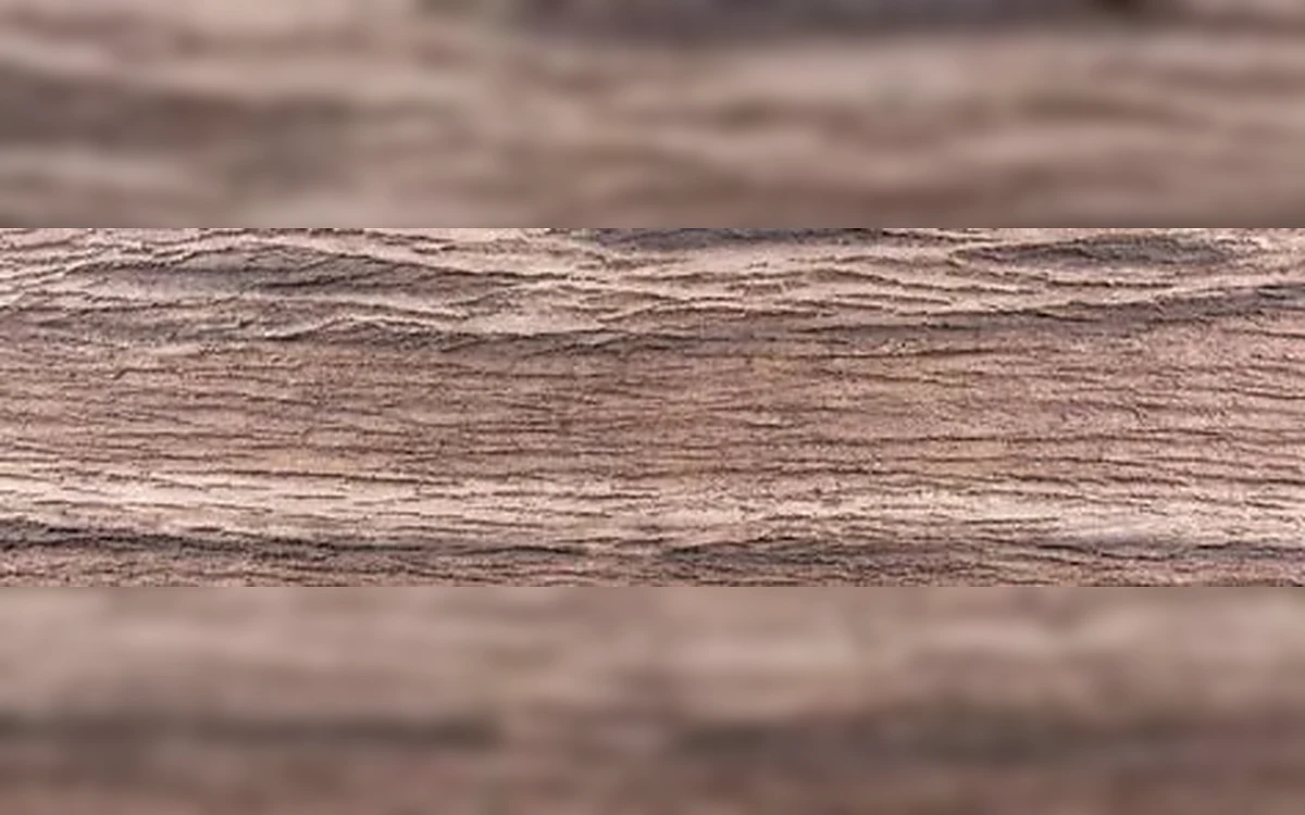 Wood Shell dekoratif ahşap panel renk görünümü