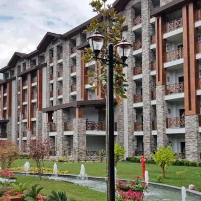 Sierra Ash Dekoratif Taş Otel Duvar Dekorasyon
