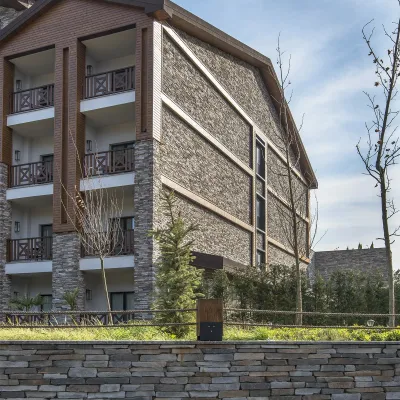 Sierra Ash Dekoratif Taş Otel Dekorasyon