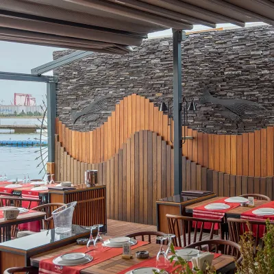 Dekoratif Taş Arcadia Kara Elmas Restoran Taş Kaplama
