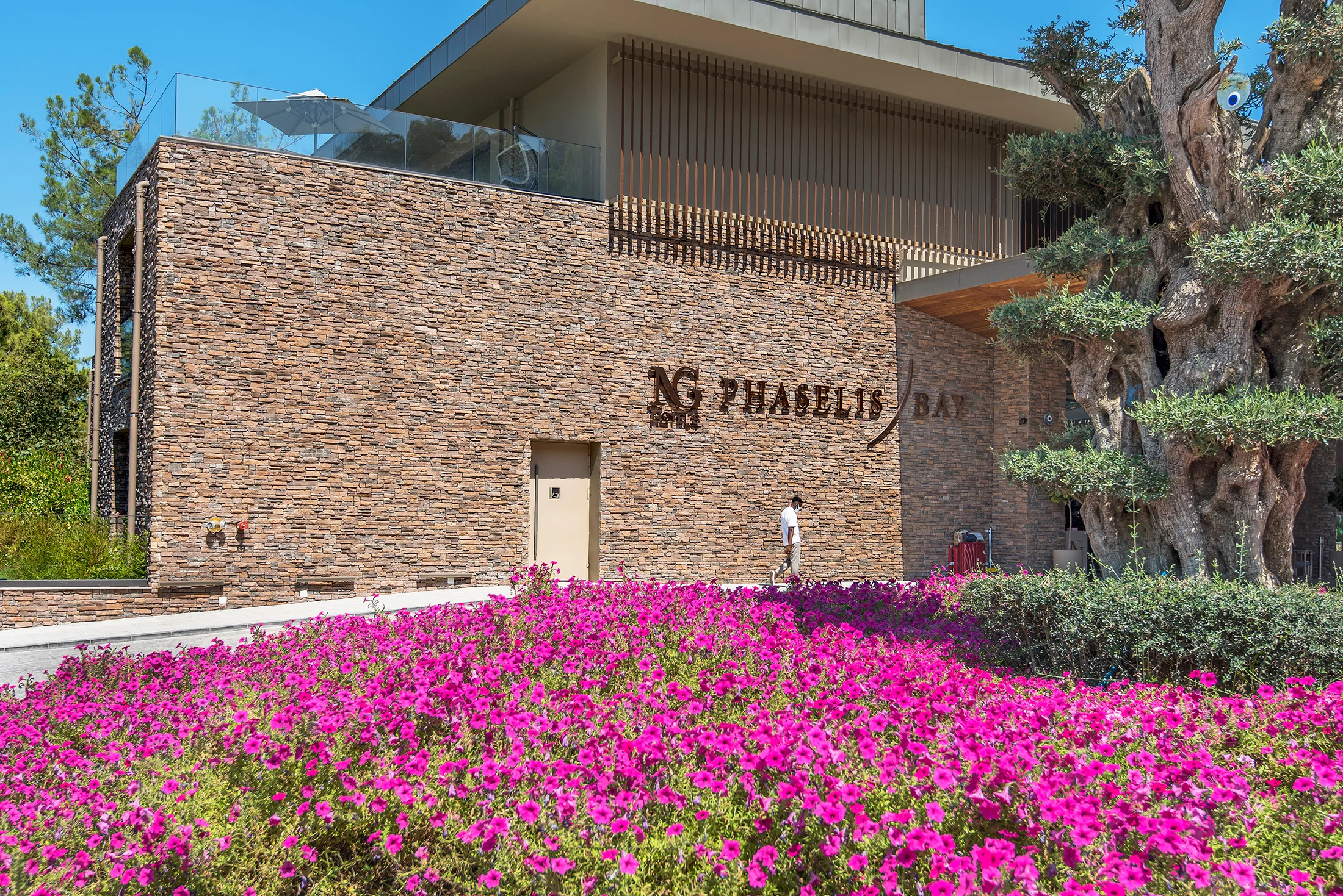 Kronos kültür taşı coffee hotel duvar kaplama