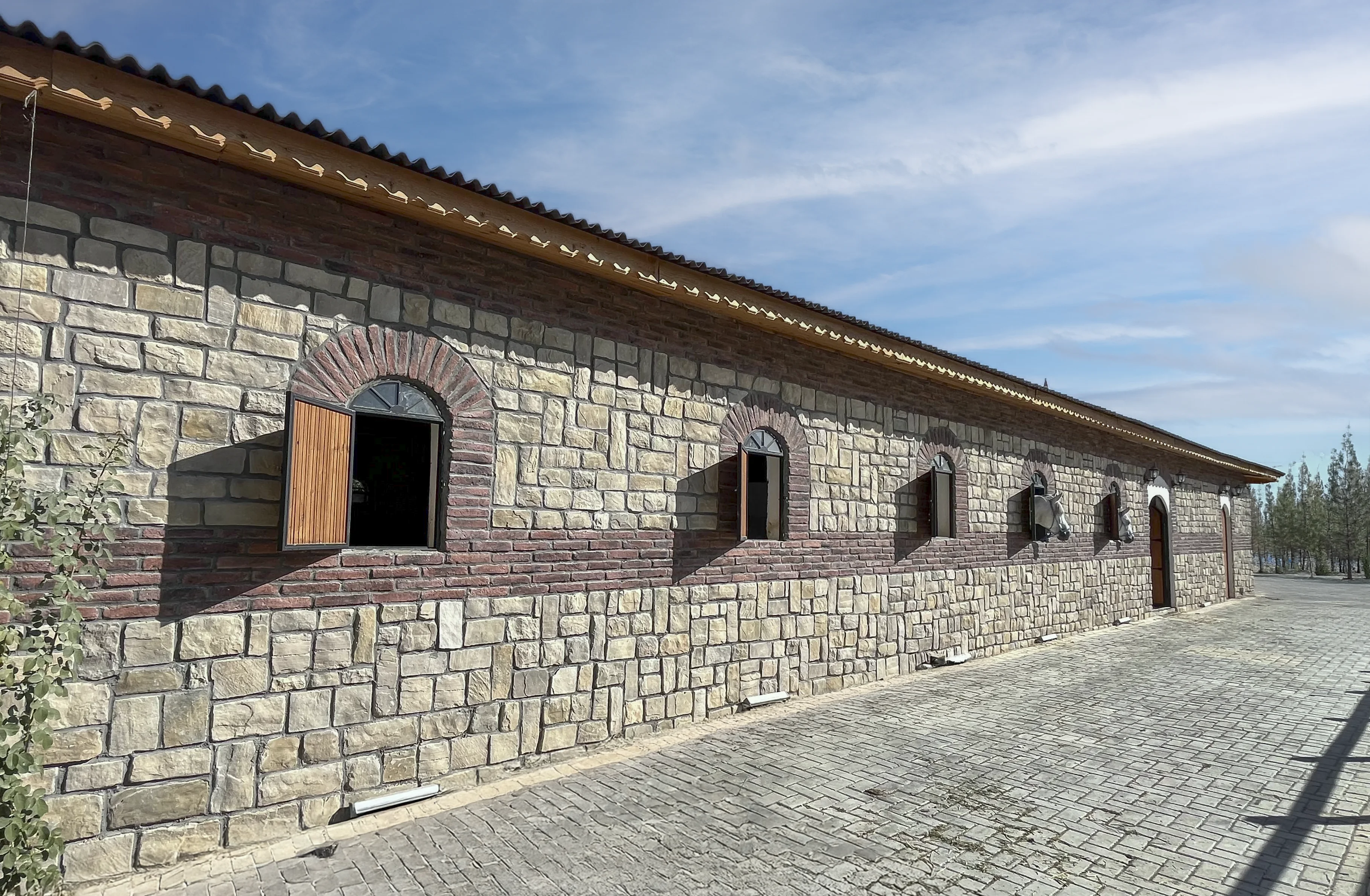 At barınağı cephesinde kum tonlu Tabula kültür taşı