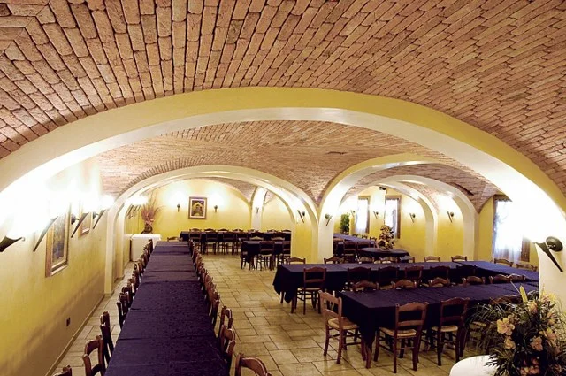 Granulbrick 20-30 kültür tuğlası tavan örneği